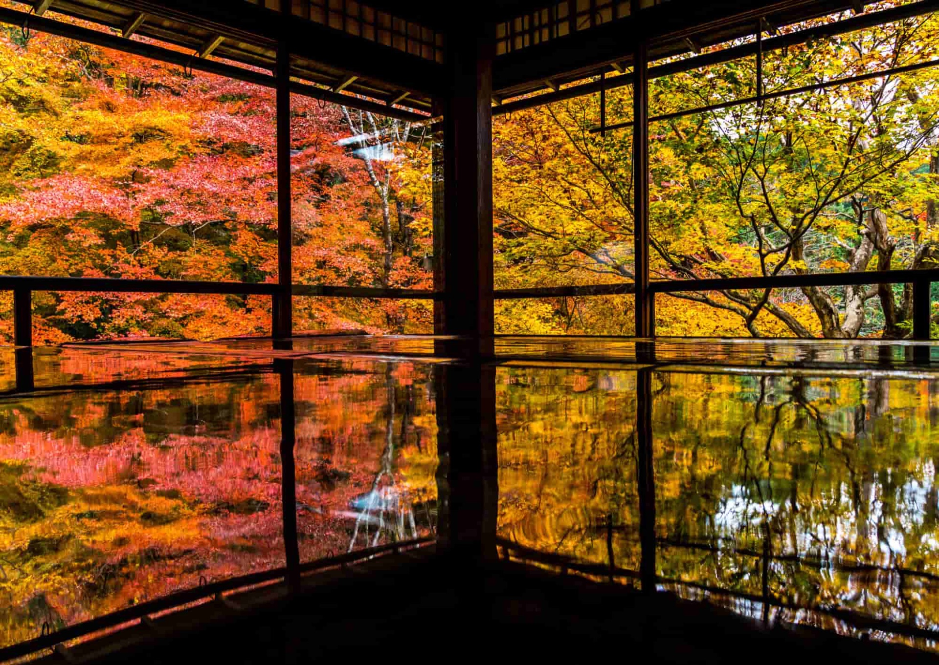 Rurikoin-fall