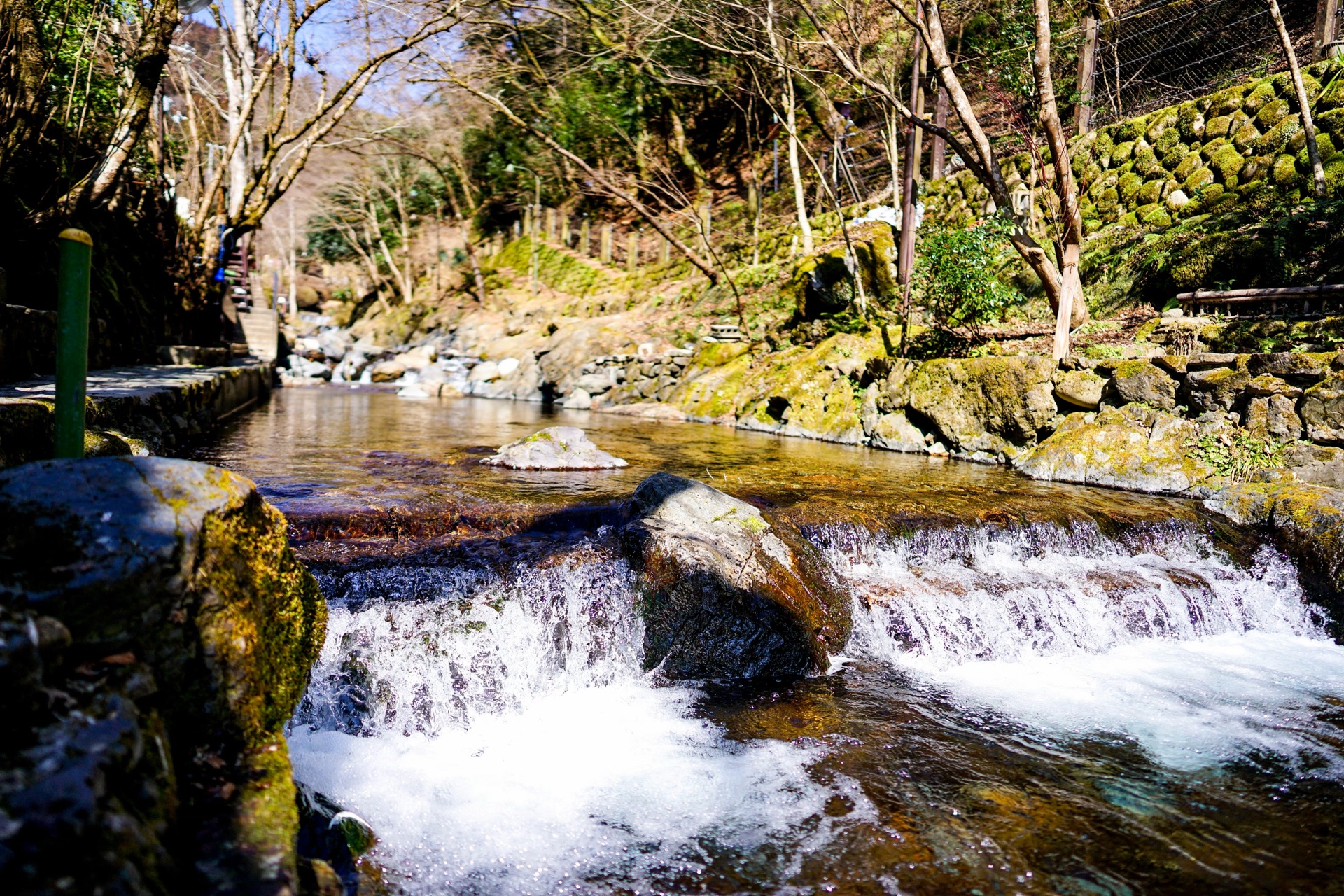 kawa
