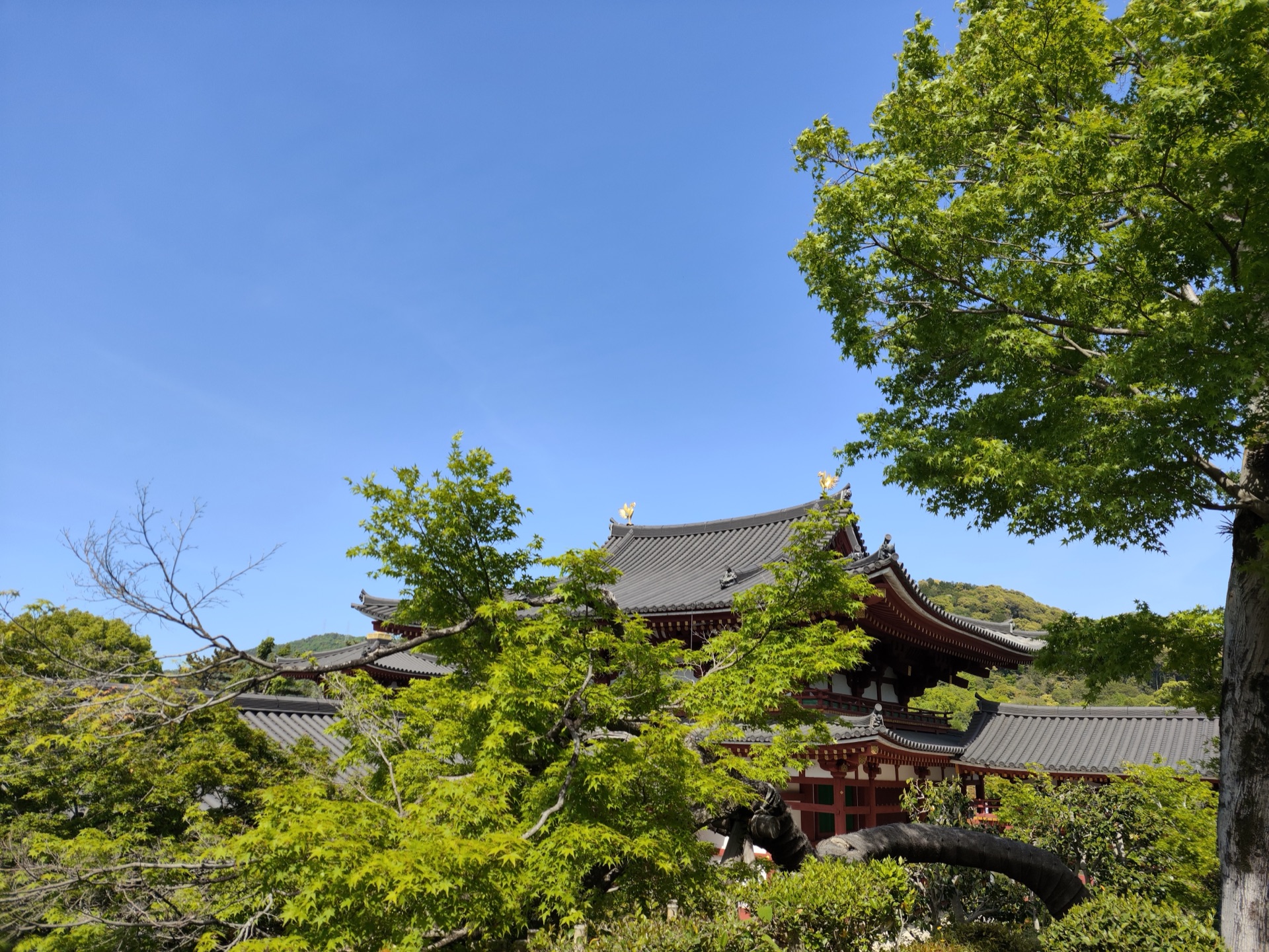 平等院