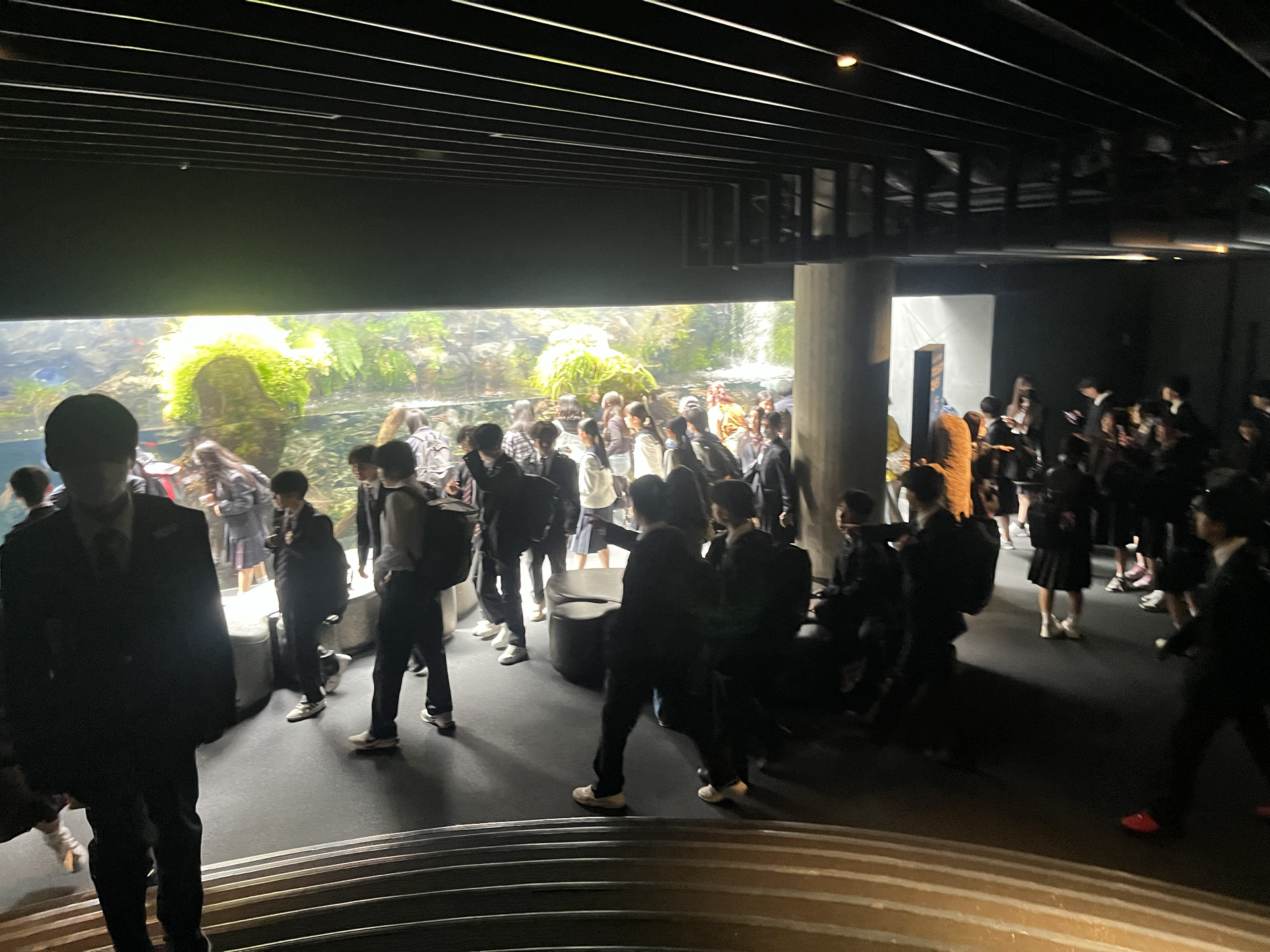 京都水族馆修学旅行