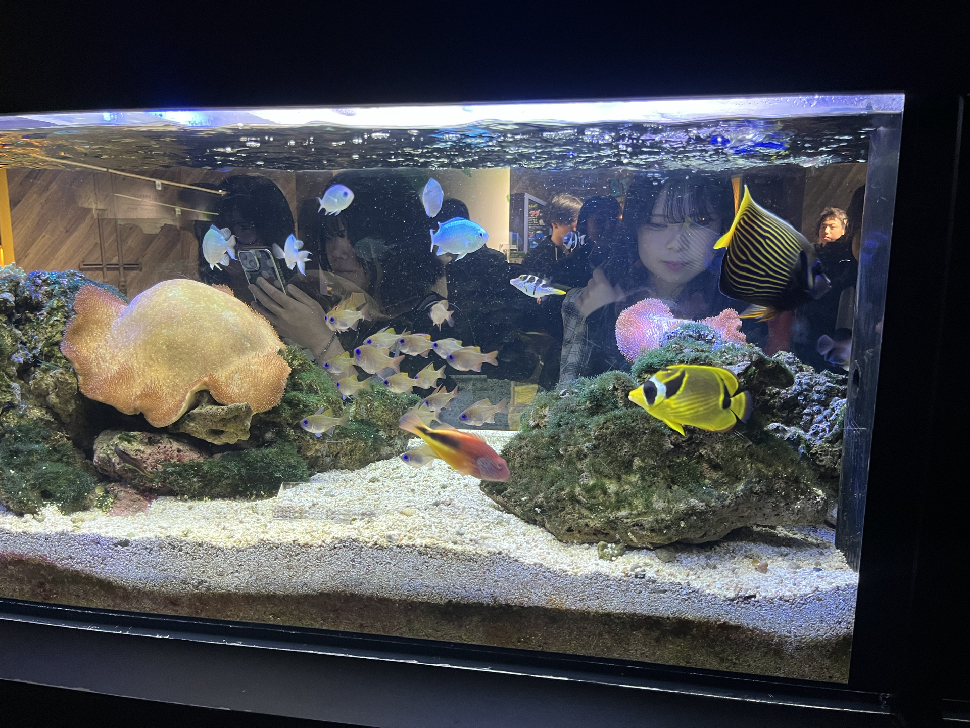 京都水族馆