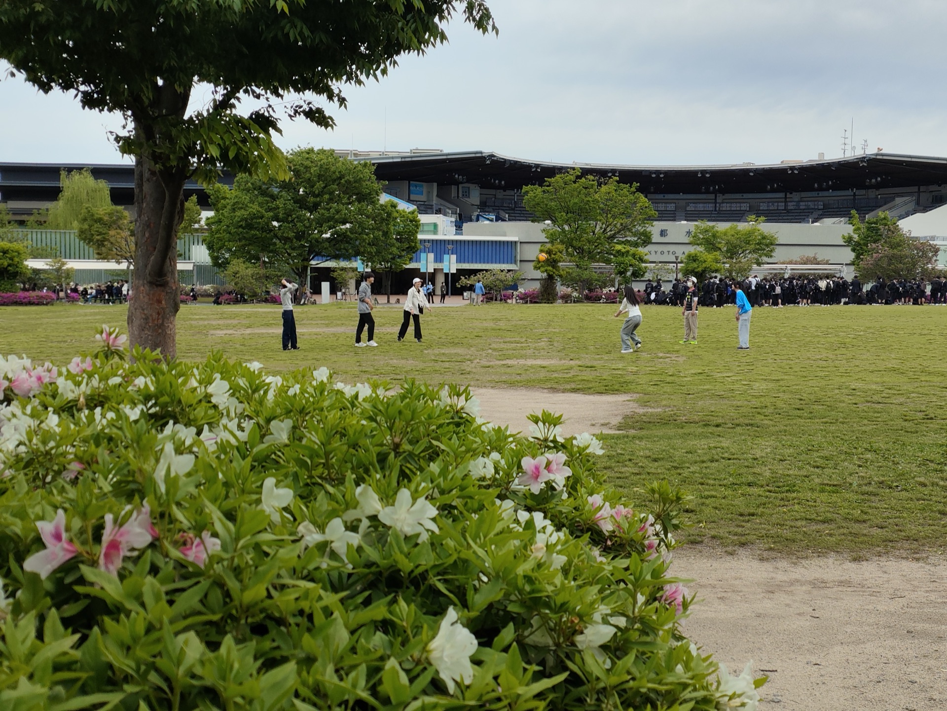 京都水族馆前草地