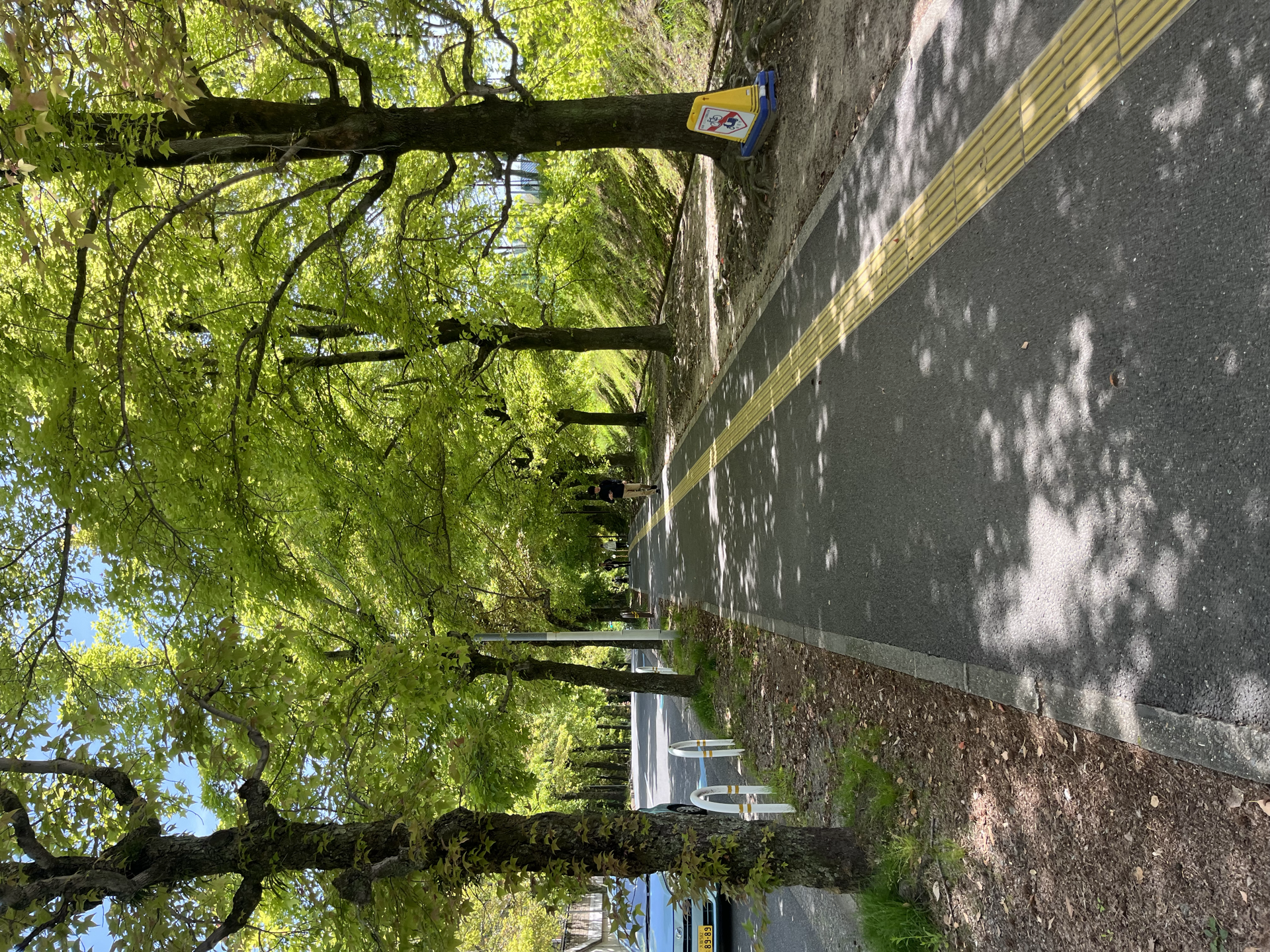 大阪大学路上