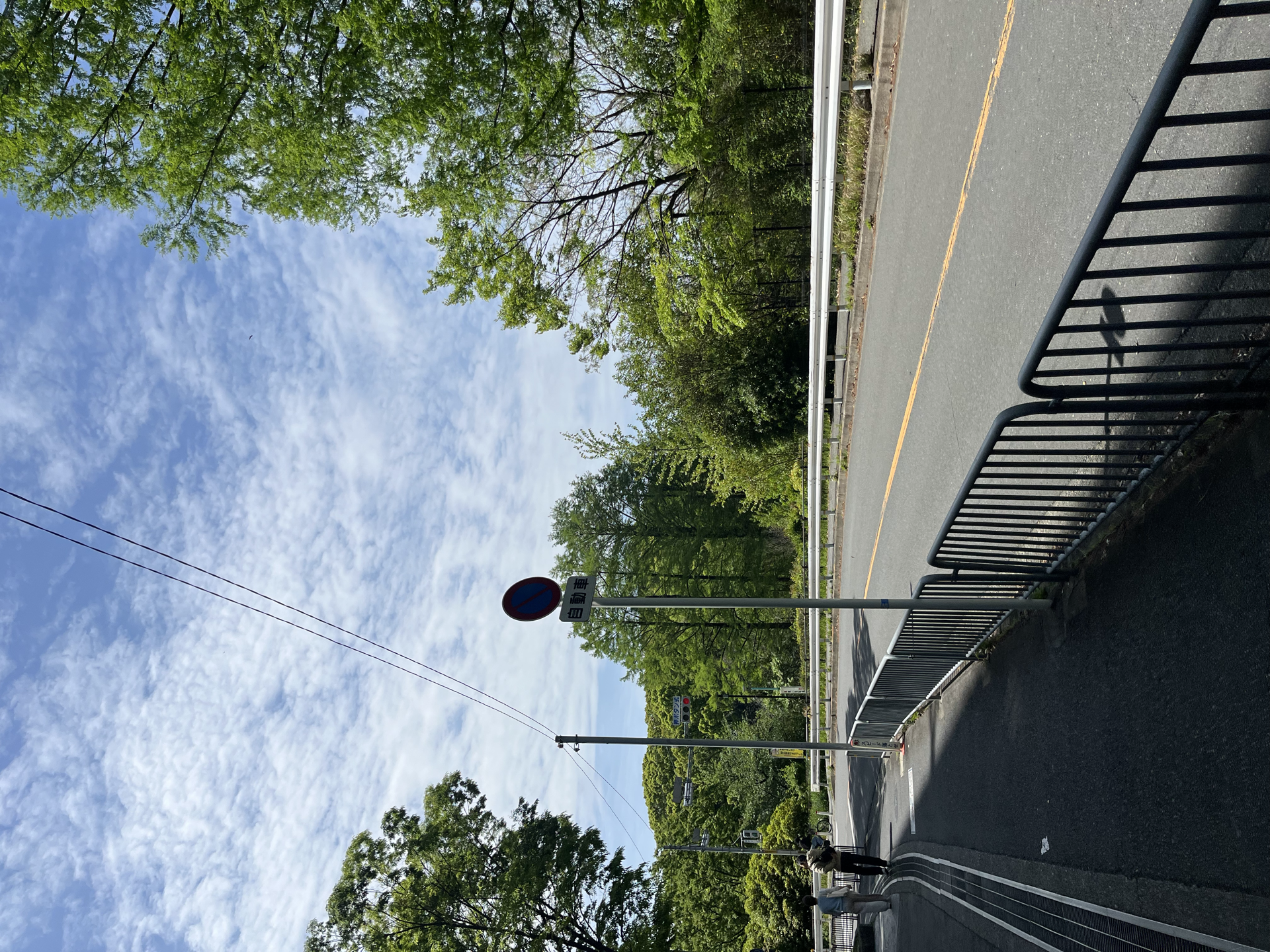 大阪大学路上