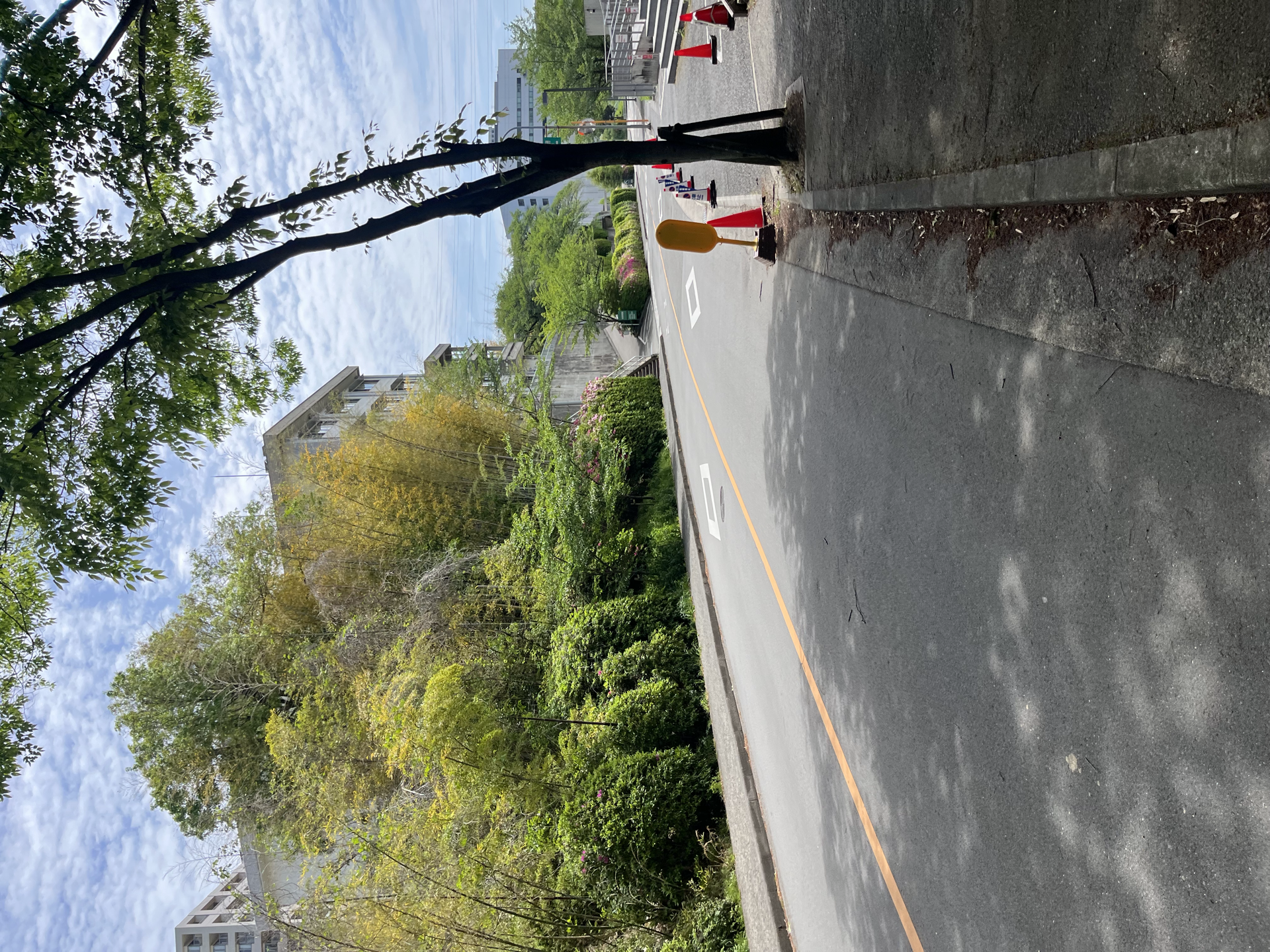 大阪大学景色