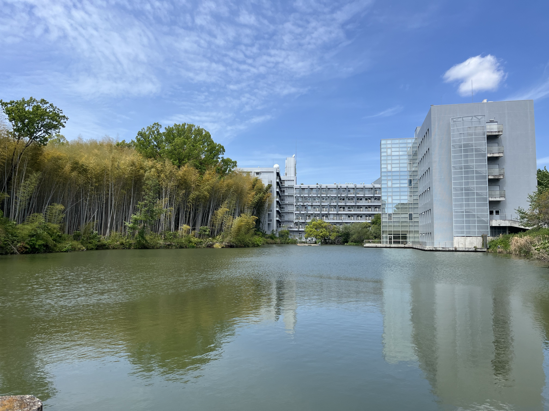 大阪大学景色