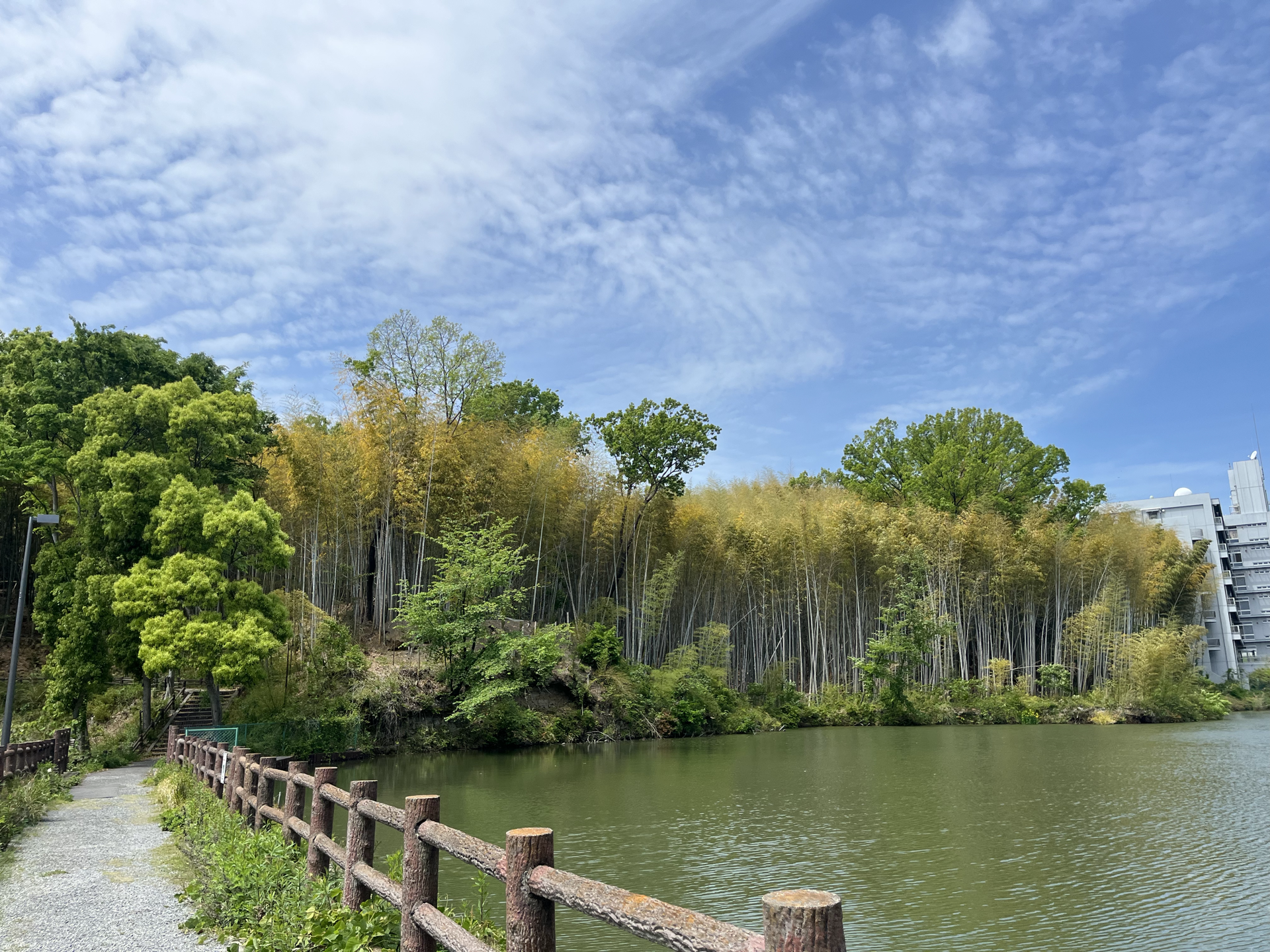 大阪大学景色