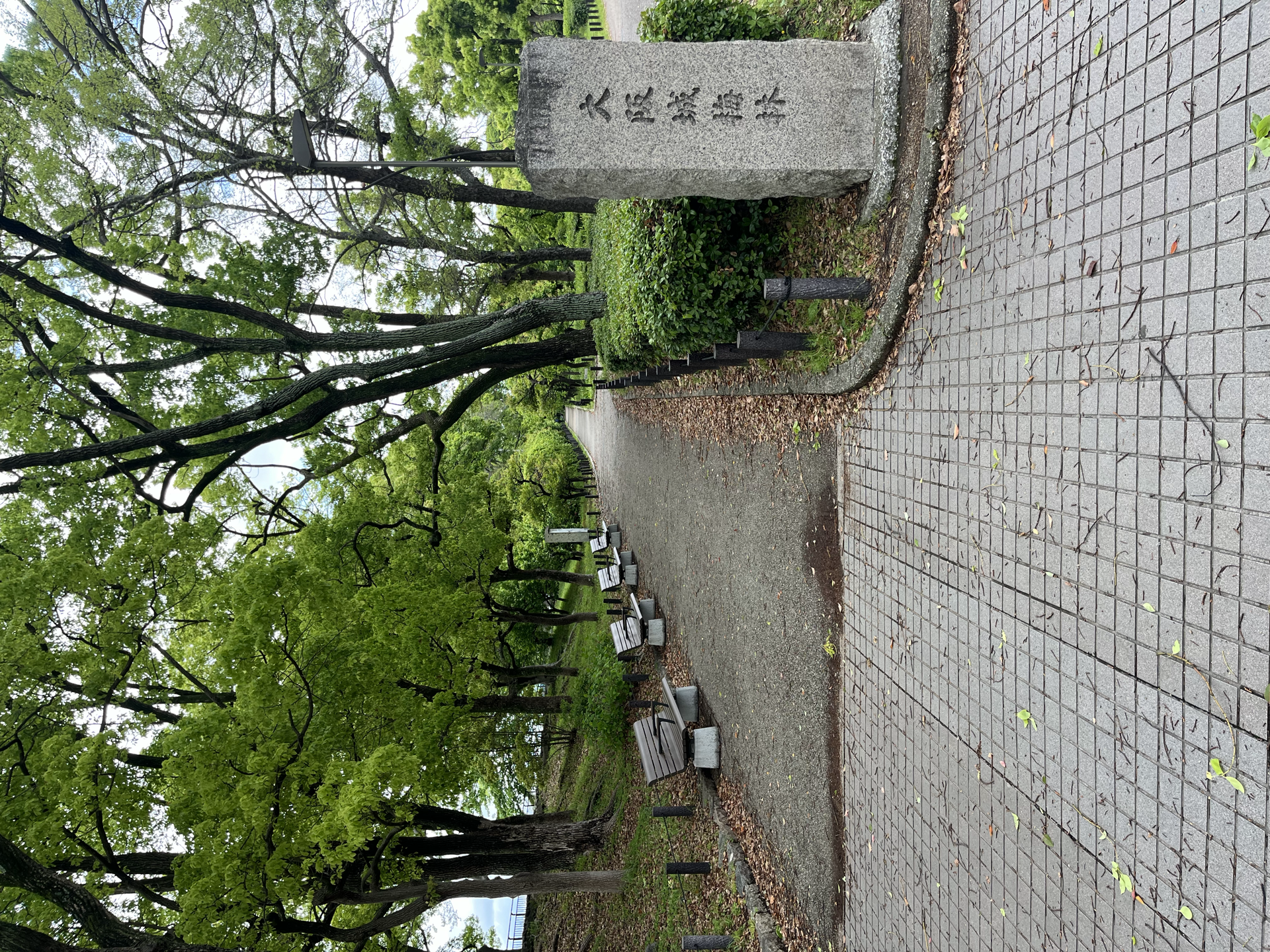 大阪城公园景色